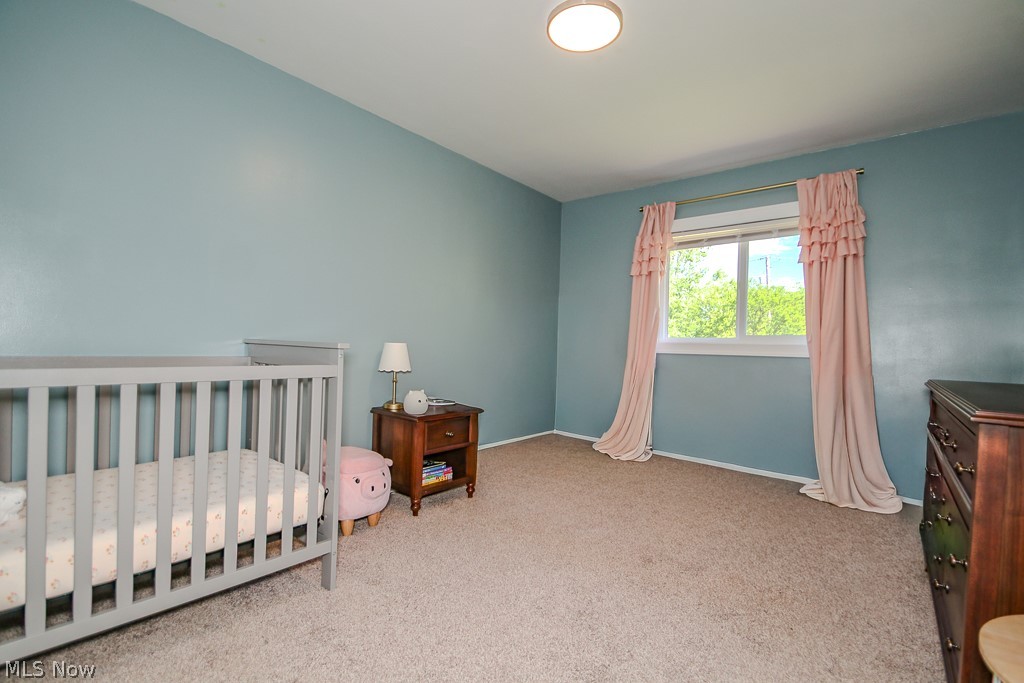9365 Forsythe Lane Mentor OH 44060