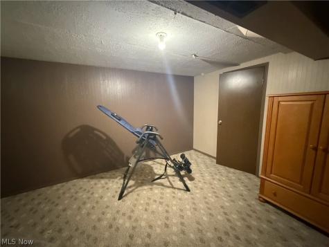 9625 Brayes Manor Drive Mentor OH 44060