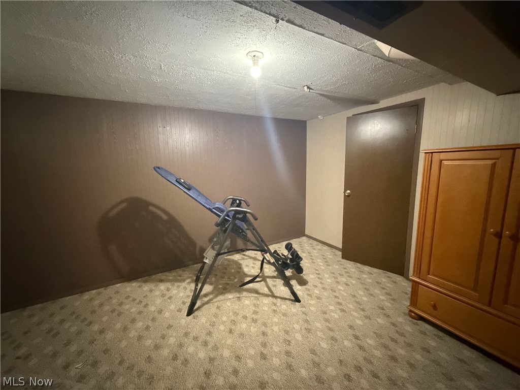 9625 Brayes Manor Drive Mentor OH 44060