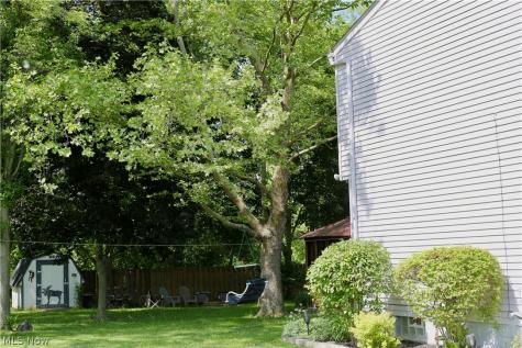 9625 Brayes Manor Drive Mentor OH 44060