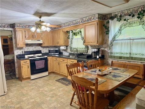 9625 Brayes Manor Drive Mentor OH 44060