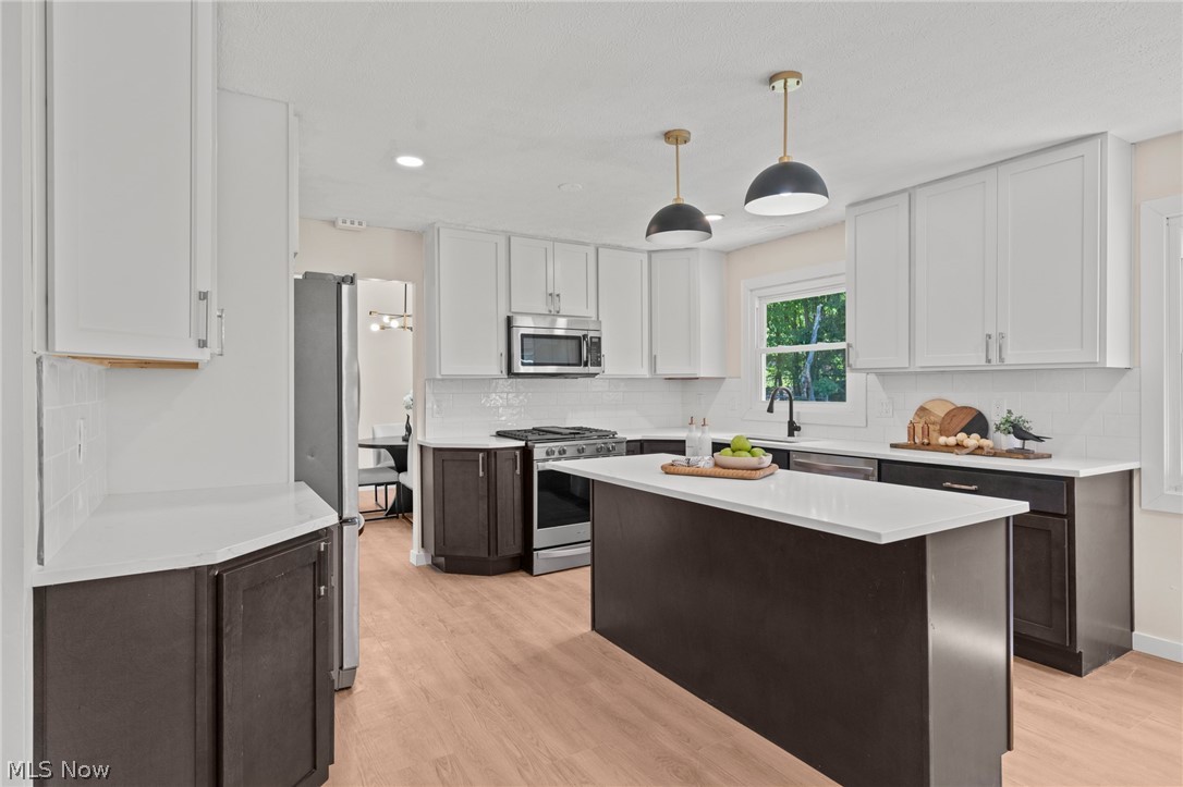 6704 Cheryl Ann Drive Seven Hills OH 44131