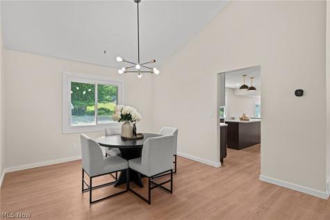 6704 Cheryl Ann Drive Seven Hills OH 44131