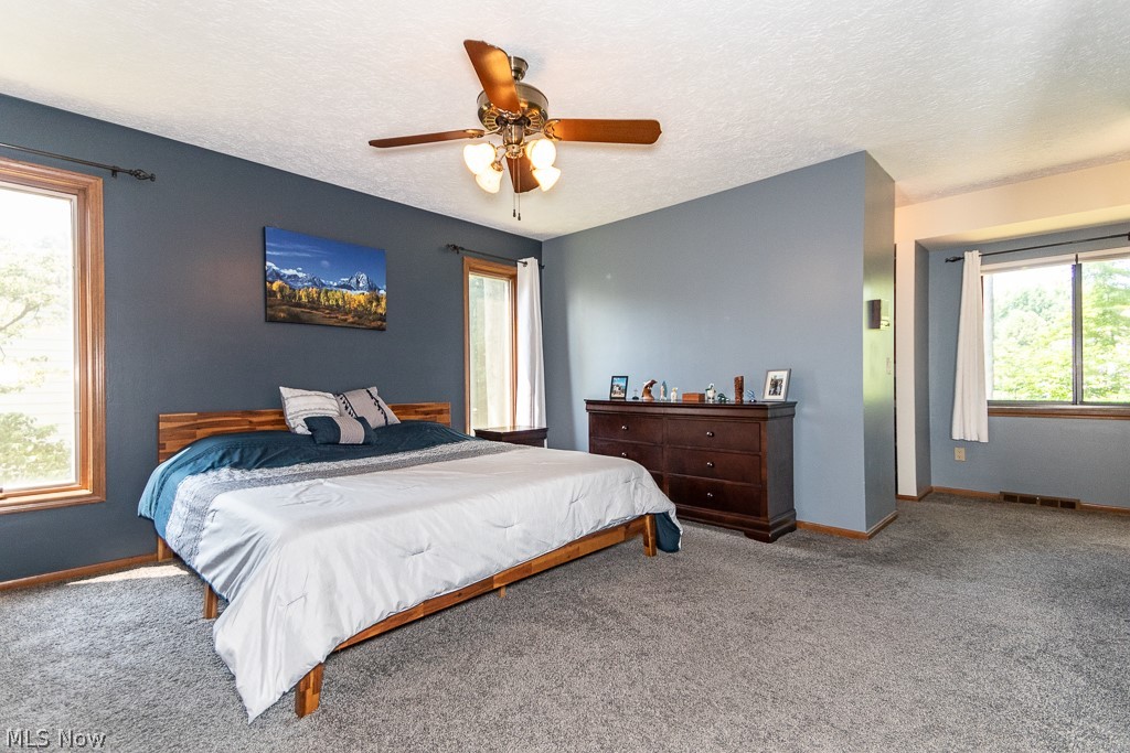 5826 Mallard Court Mentor OH 44060