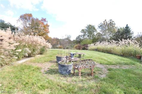 9156 Chippewa Road Lodi OH 44254