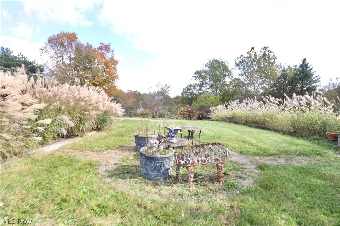 9156 Chippewa Road Lodi OH 44254