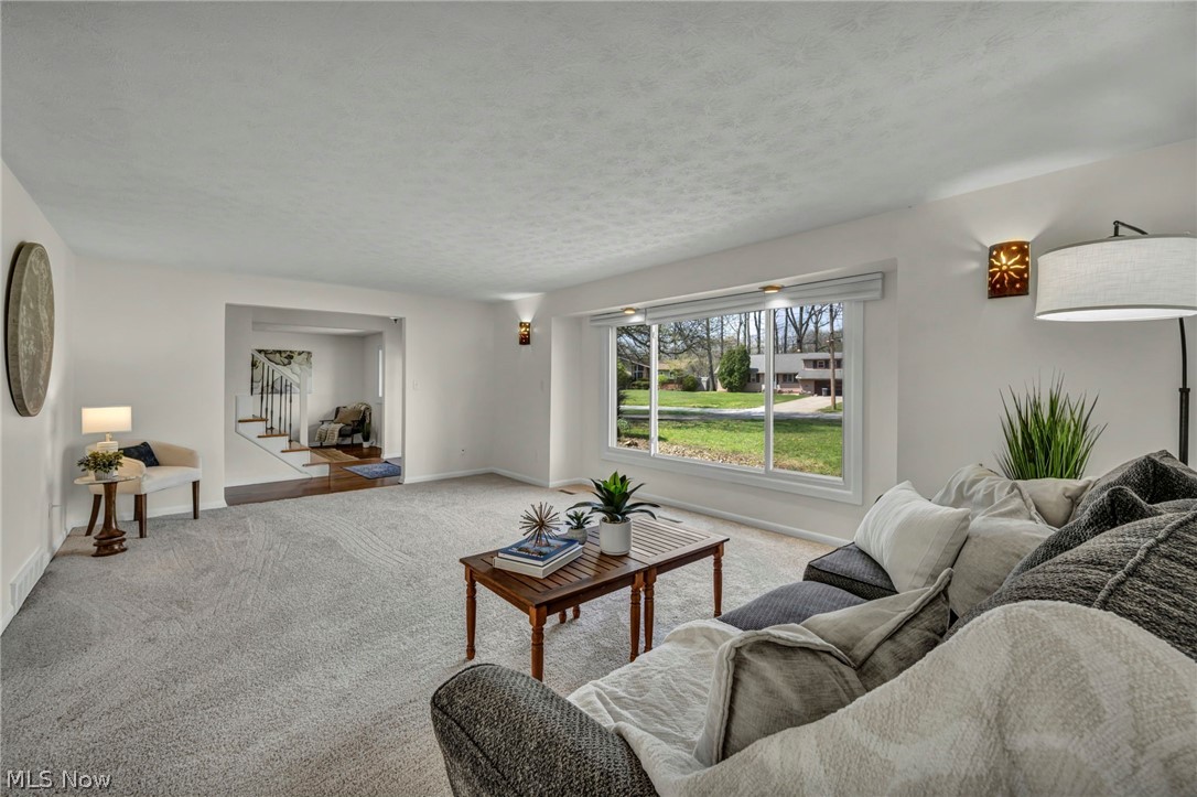 24720 Dundee Drive Richmond Heights OH 44143