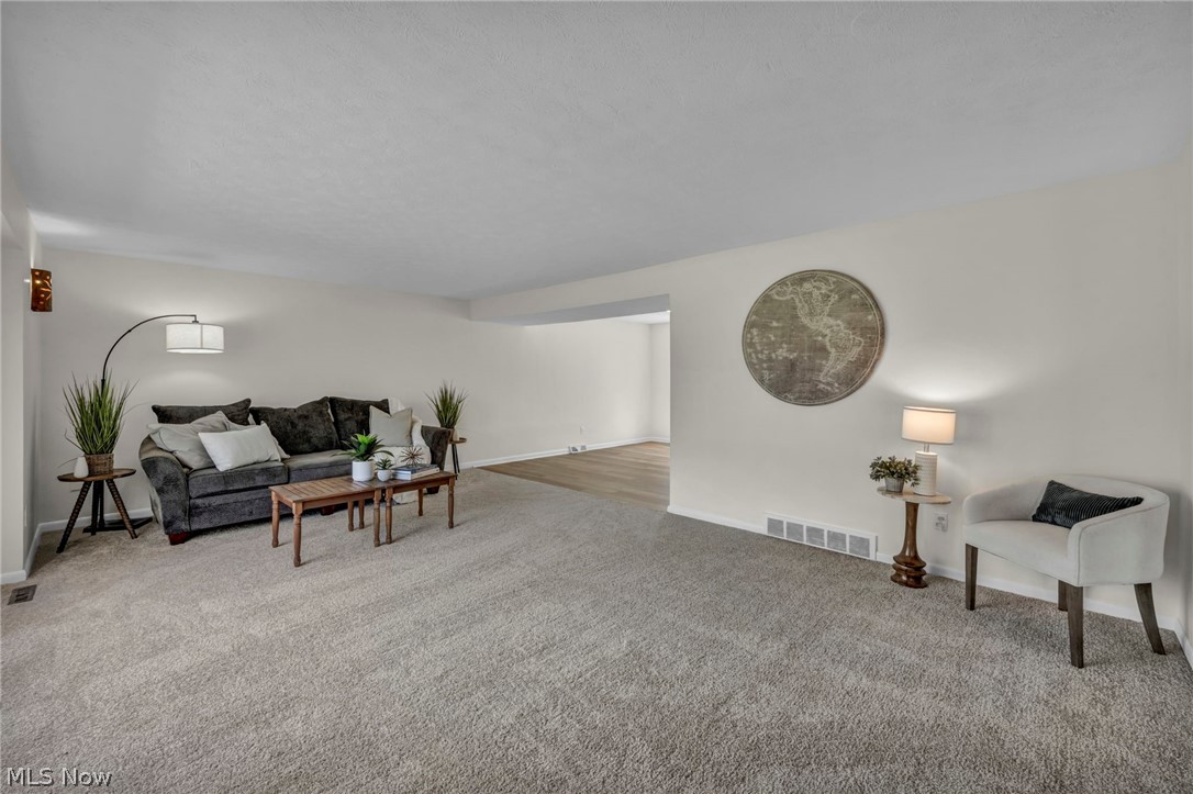 24720 Dundee Drive Richmond Heights OH 44143