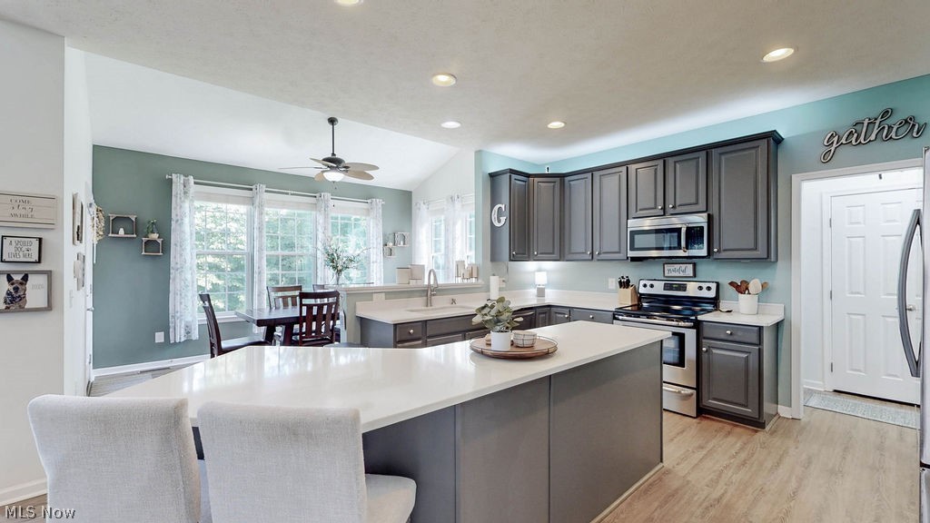 167 Park View Court Peninsula OH 44264