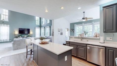 167 Park View Court Peninsula OH 44264