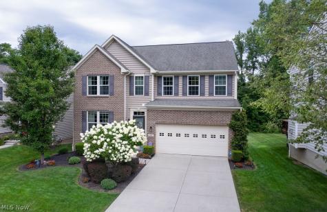 167 Park View Court Peninsula OH 44264