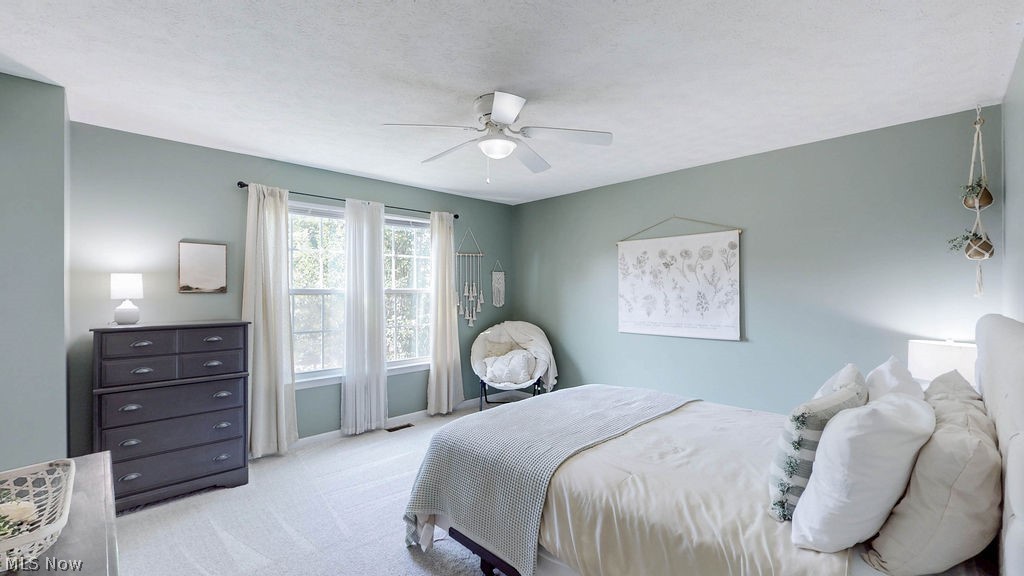 167 Park View Court Peninsula OH 44264