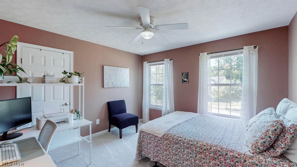 167 Park View Court Peninsula OH 44264