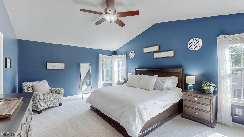 167 Park View Court Peninsula OH 44264