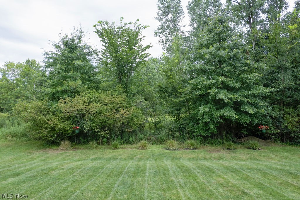 167 Park View Court Peninsula OH 44264