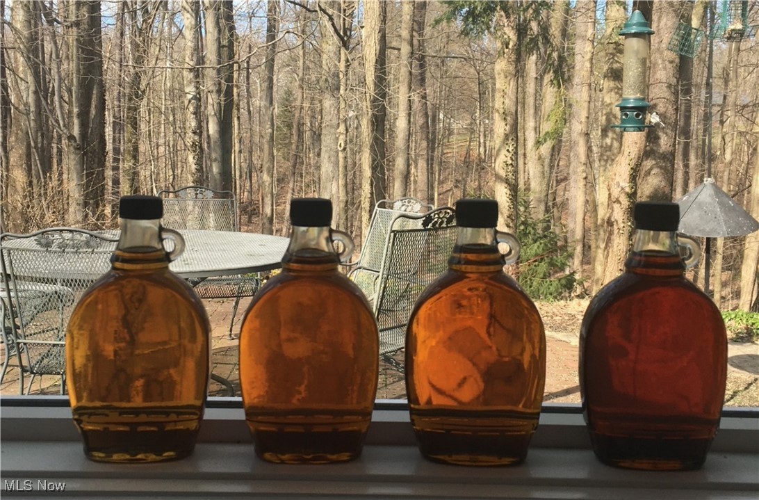 14355 Hartwell Trail Novelty OH 44072