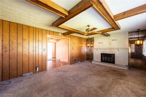 4710 Pinegrove Avenue Youngstown OH 44515