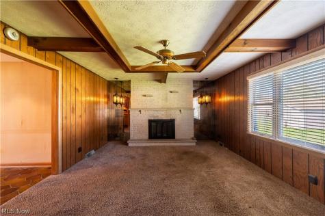 4710 Pinegrove Avenue Youngstown OH 44515