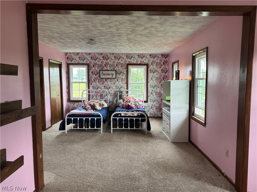 3941 W Sterling Road Burbank OH 44214