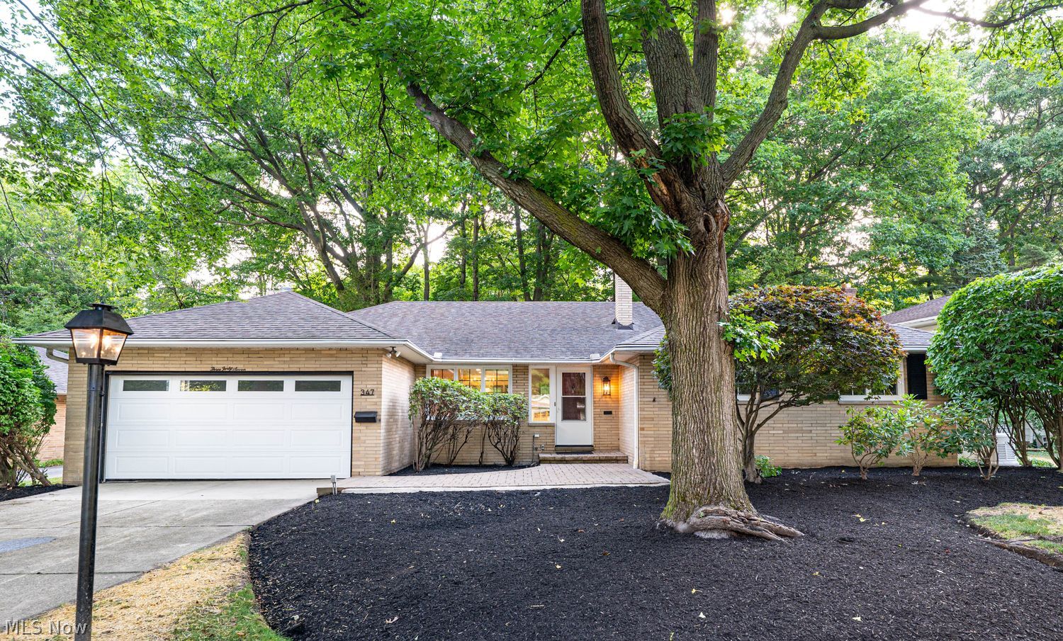 347 Royal Oak Boulevard Richmond Heights OH 44143