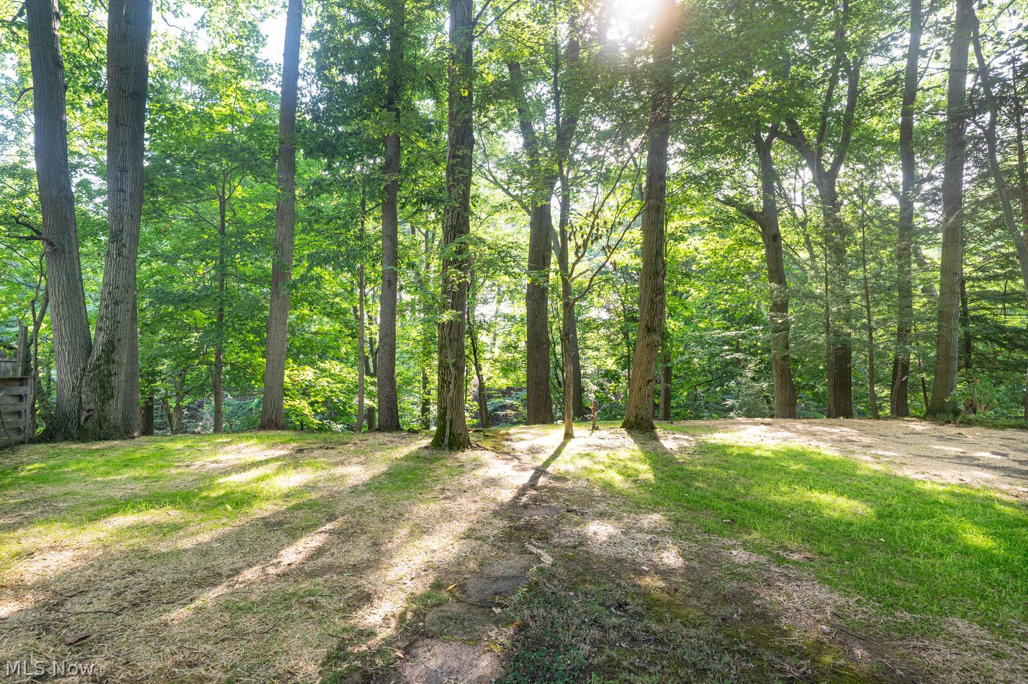 347 Royal Oak Boulevard Richmond Heights OH 44143