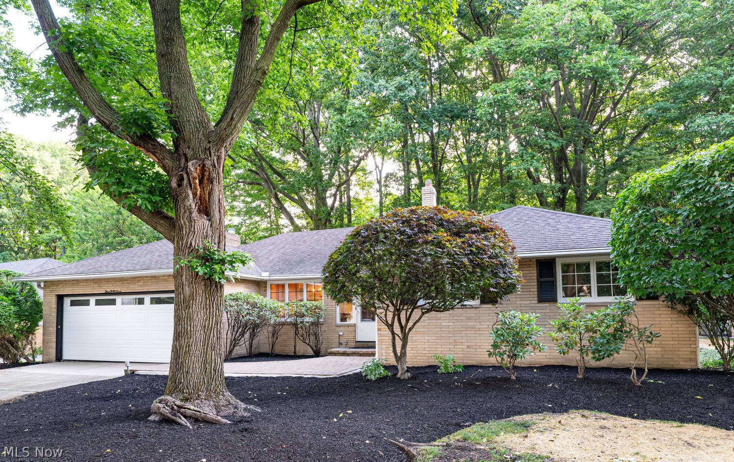 347 Royal Oak Boulevard Richmond Heights OH 44143