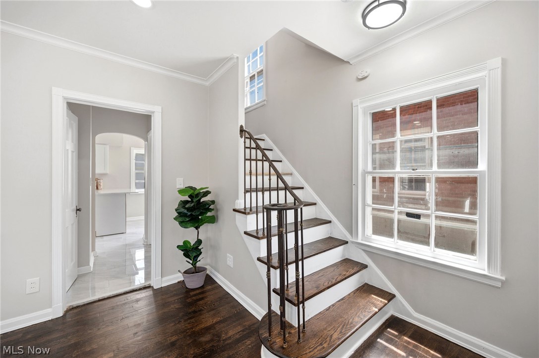 3659 Riedham Road Shaker Heights OH 44120