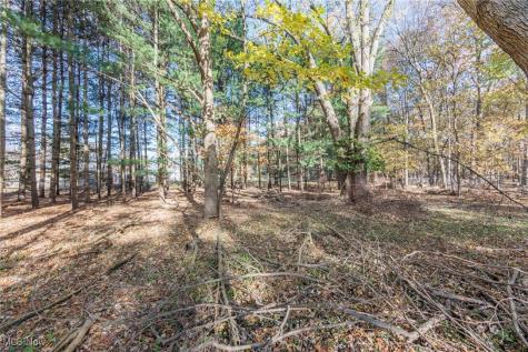 24105 Chardon Road Euclid OH 44143