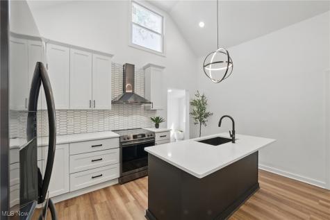3293 W 23rd Place Cleveland OH 44109