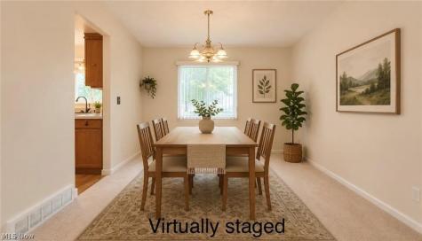 8030 Grovewood Drive Mentor OH 44060
