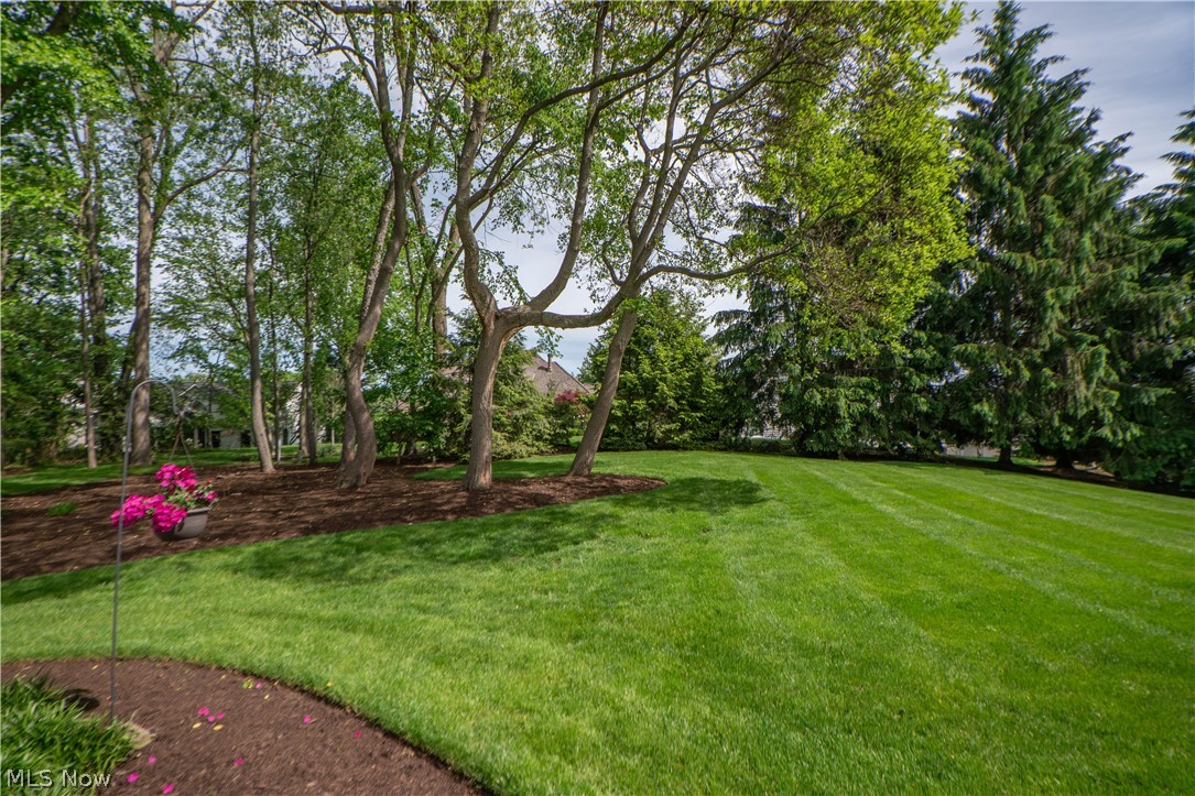 1535 Chadford Gate SE Canton OH 44709