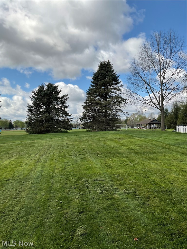 136 Forest View Court Creston OH 44217