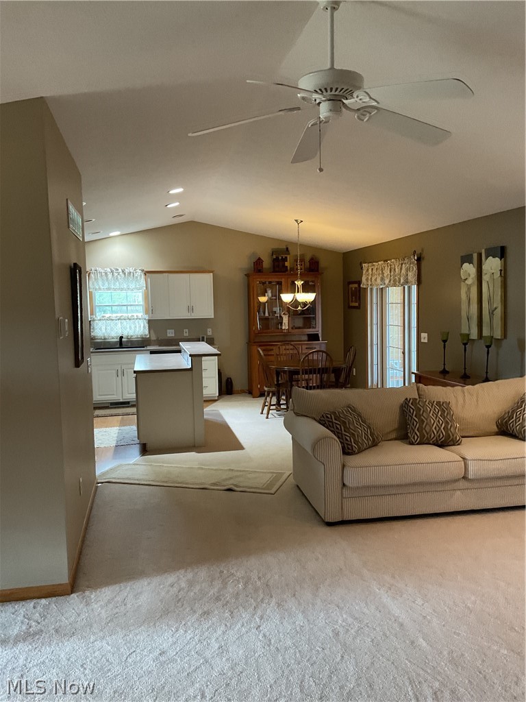 136 Forest View Court Creston OH 44217
