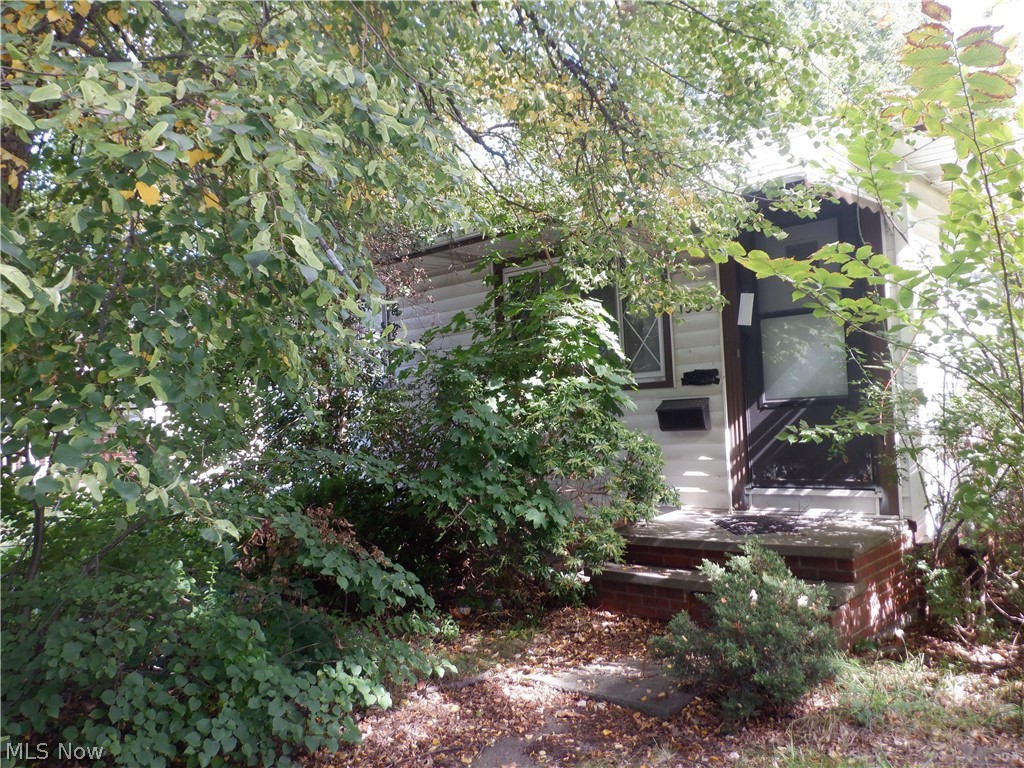 1565 E 172nd Street Cleveland OH 44110