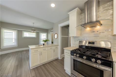 1614 Robinwood Avenue Lakewood OH 44107