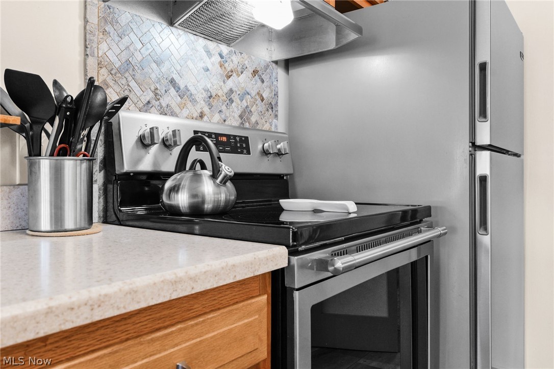 703 Holiday Drive Willard OH 44890