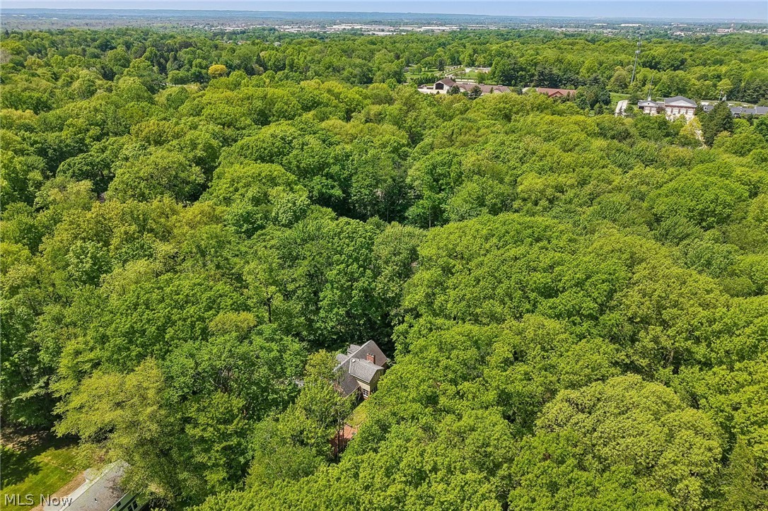 45 Sterncrest Drive Moreland Hills OH 44022