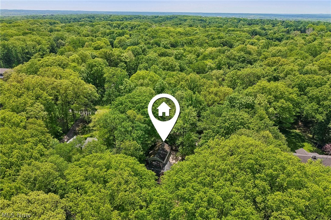 45 Sterncrest Drive Moreland Hills OH 44022
