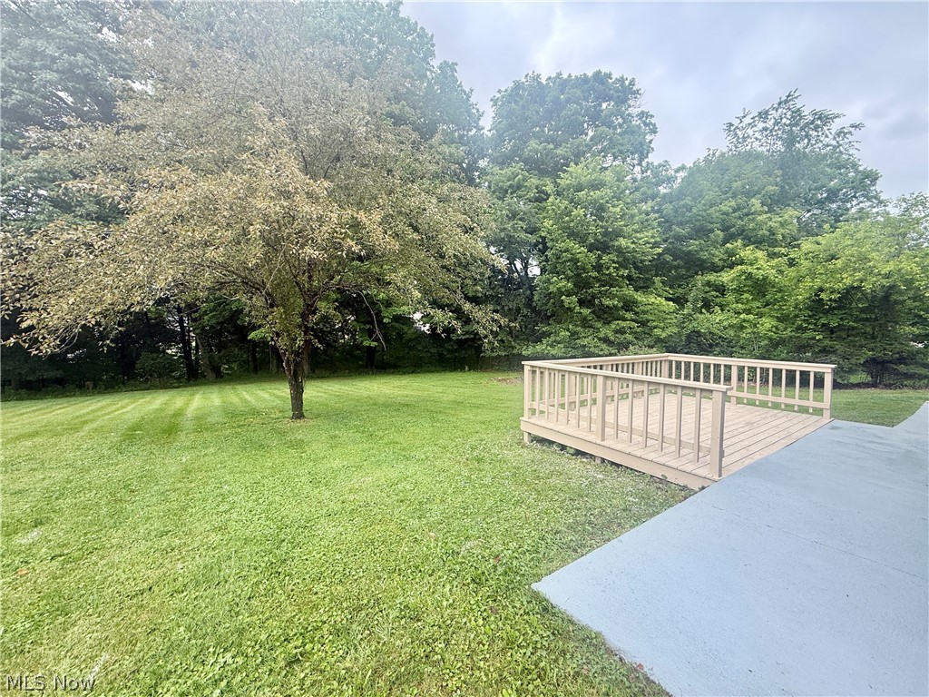 347 Patton Avenue Wintersville OH 43953
