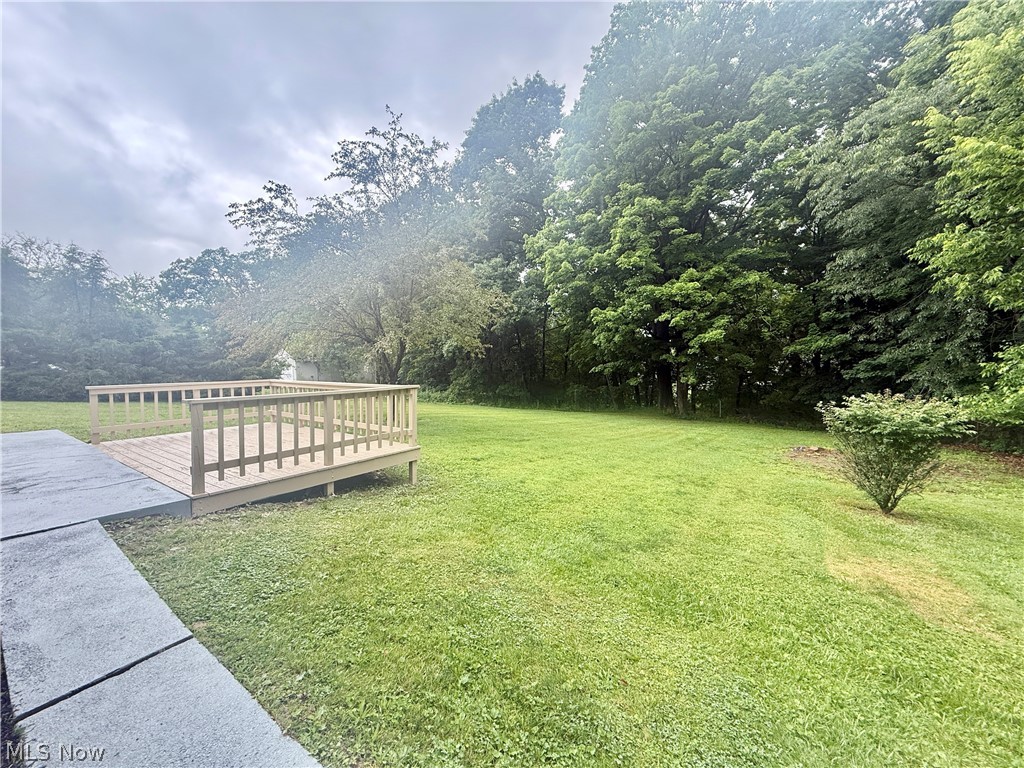 347 Patton Avenue Wintersville OH 43953