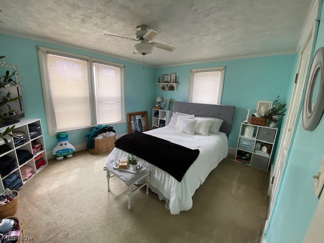 810 Daniels Street Toronto OH 43964