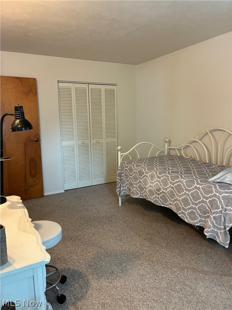 3805 Laurel Glenn Drive Broadview Heights OH 44147