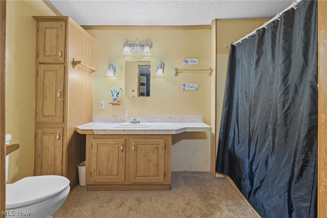 3839 E Sterling Road Creston OH 44217