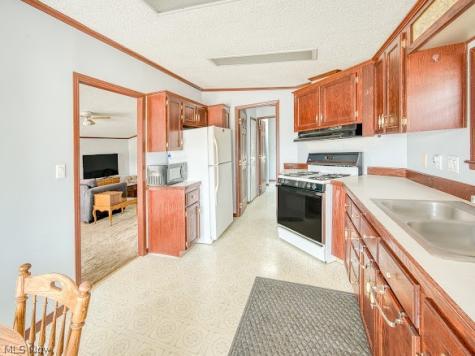 356 Golfway Drive Painesville OH 44077