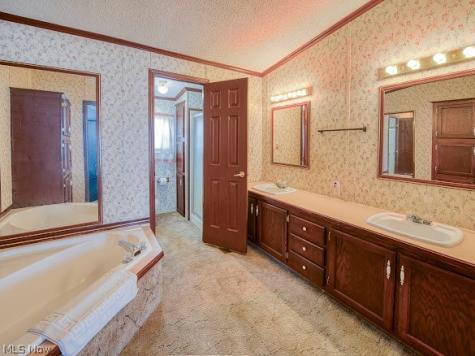 356 Golfway Drive Painesville OH 44077