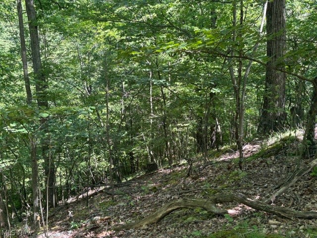 38967 State Route 39 Road Salineville OH 43945
