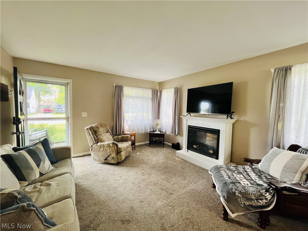 1015 Union Avenue Ashtabula OH 44003