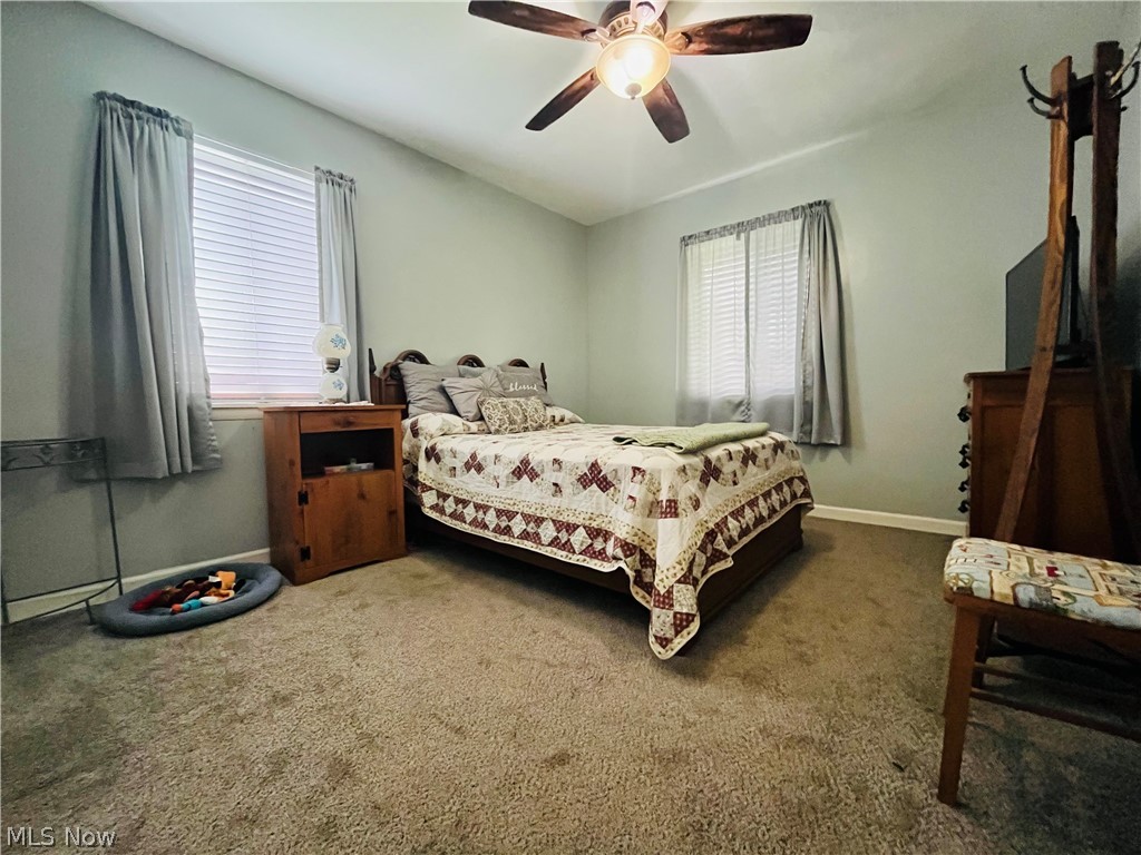 1015 Union Avenue Ashtabula OH 44003