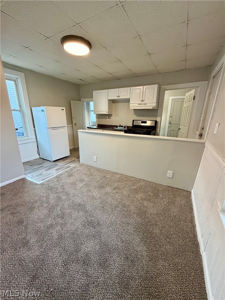 13210 Carrington Avenue Cleveland OH 44135