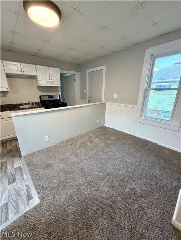 13210 Carrington Avenue Cleveland OH 44135